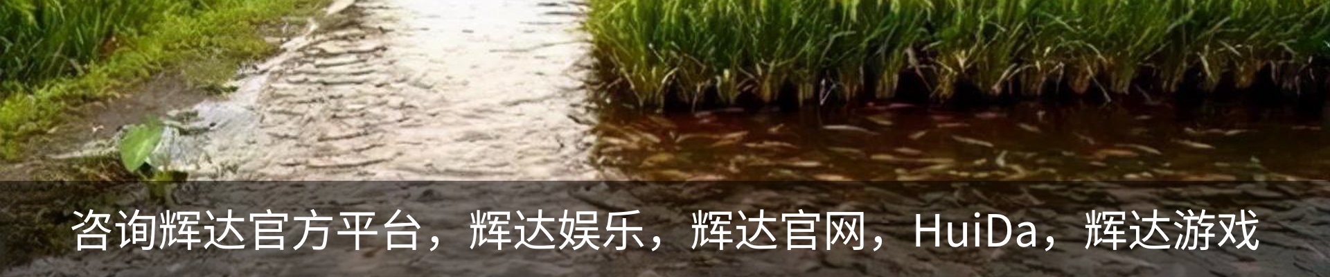咨询辉达官方平台，辉达娱乐，辉达官网，HuiDa，辉达游戏